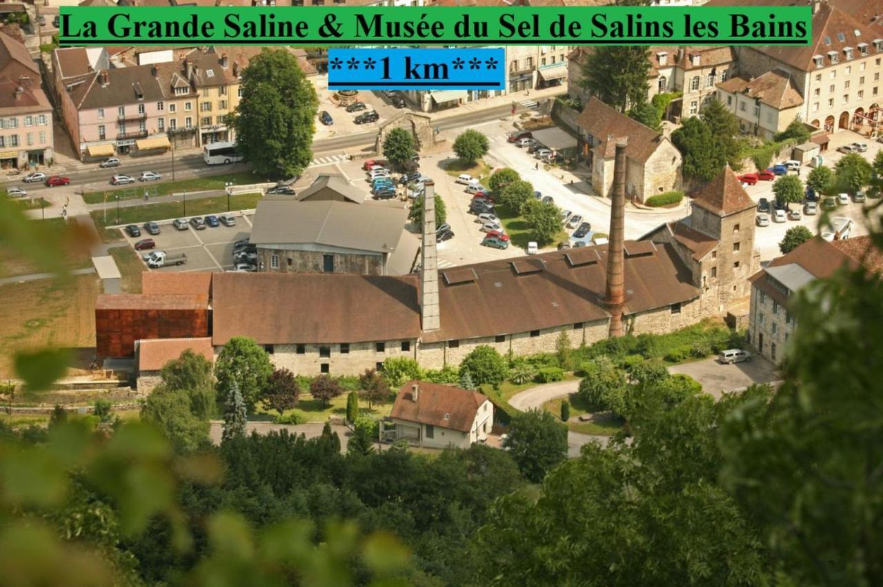 Appartement Cosy 36 Salins Les Bains Salins-les-Bains Exterior foto